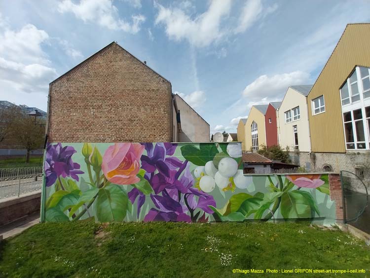 Plantes des Hortillonnages