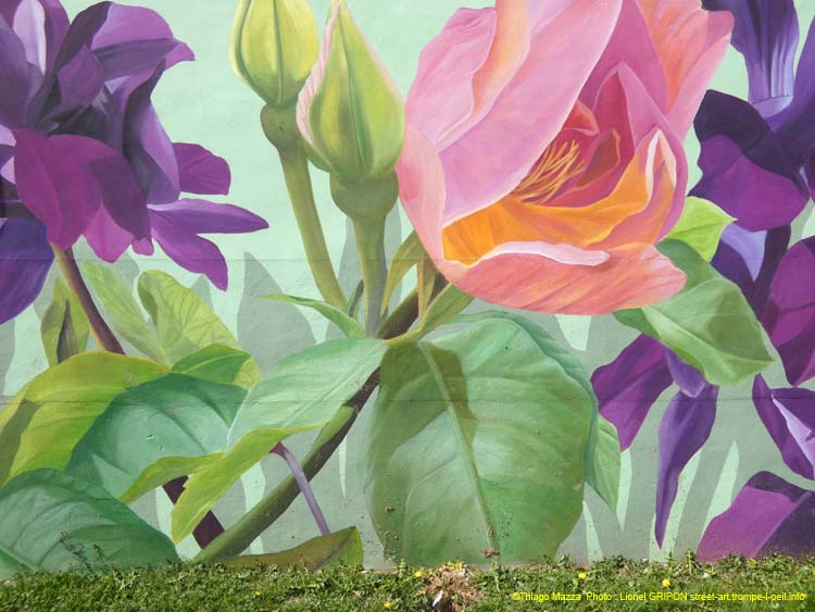 Plantes des Hortillonnages