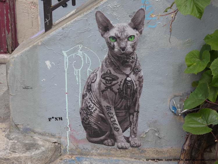 Le Chat Sphynx-02