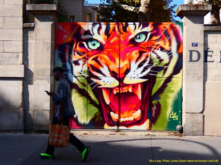 Gros tigre roux