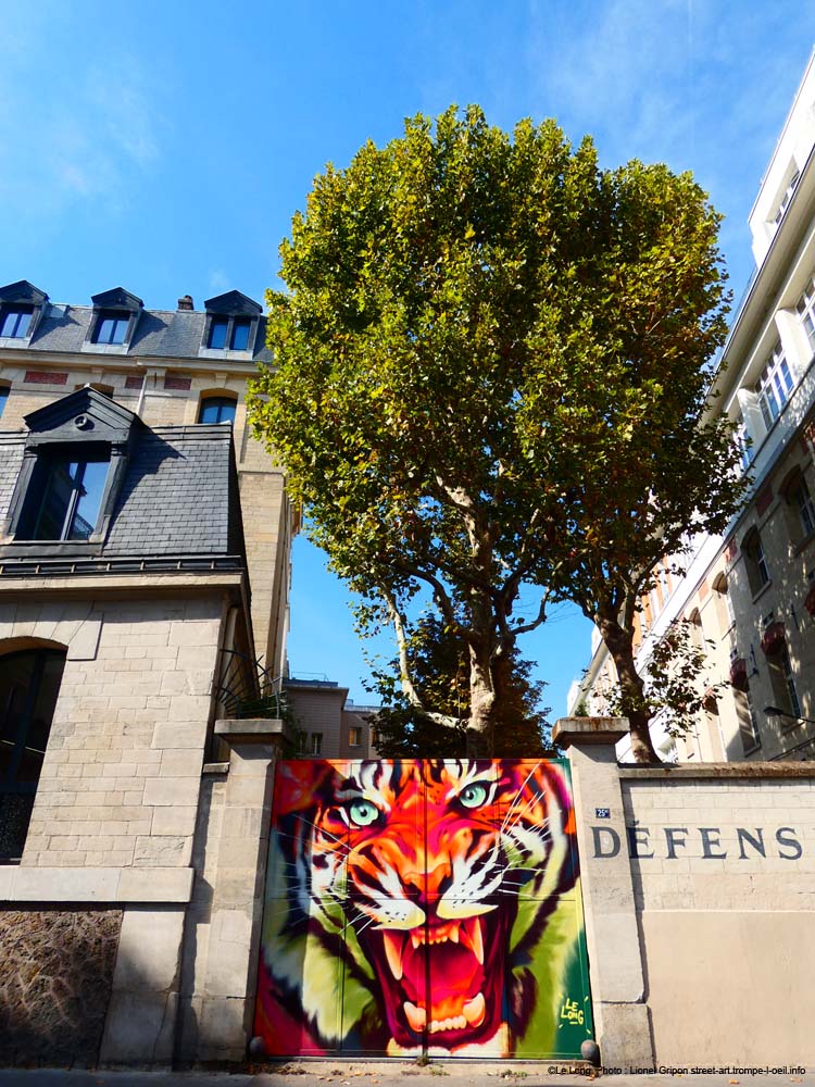 Gros tigre roux