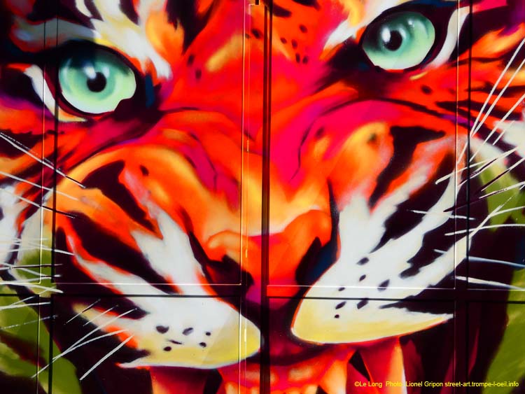 Gros tigre roux