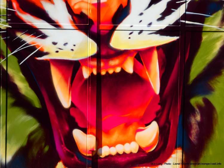 Gros tigre roux