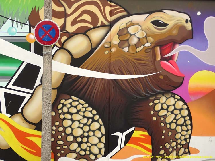 Tortue et caravane