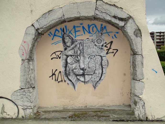 Lynx machine