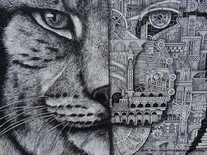 Lynx machine