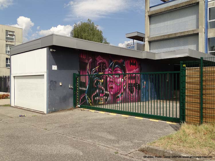 Le Mur Grenoble-03
