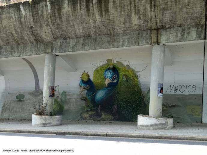 Mur abrité-07 Heitor Corrêa