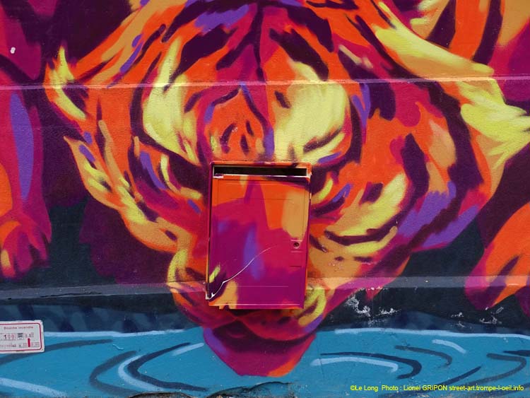 Tigres et ruisseau