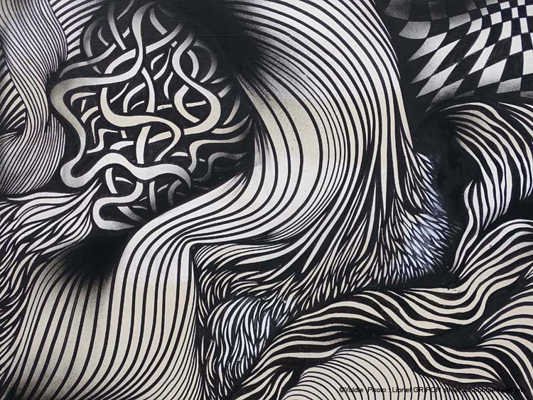 Volutes noires