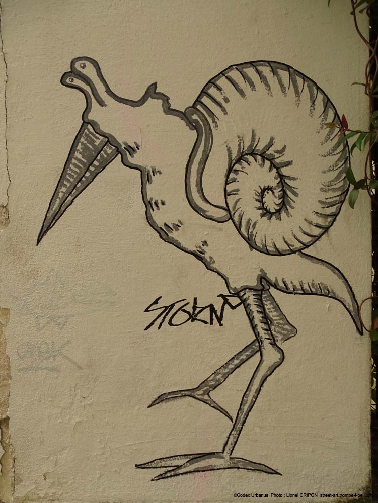 Ciconia helix