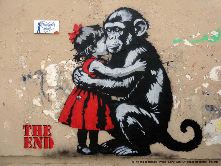 Fillette et chimpanzé-03