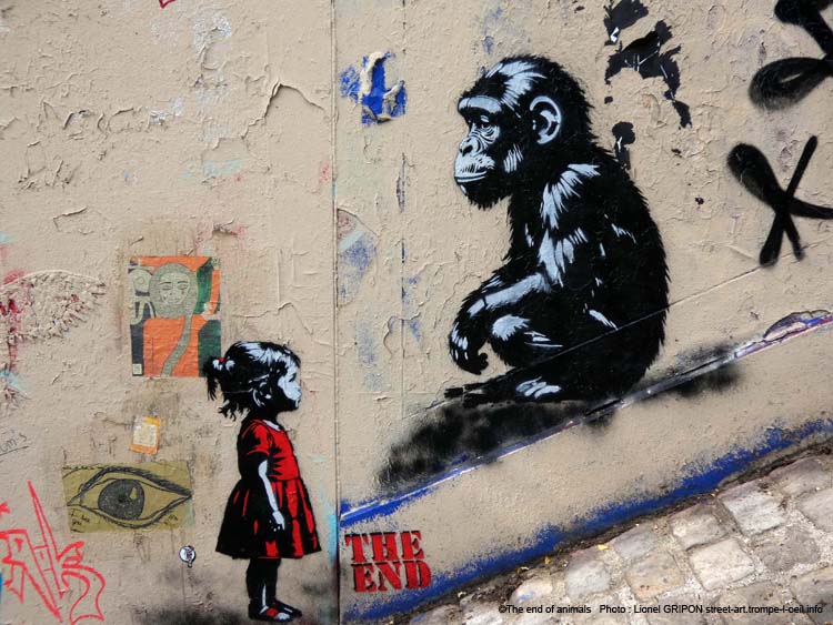 Fillette et chimpanzé-01