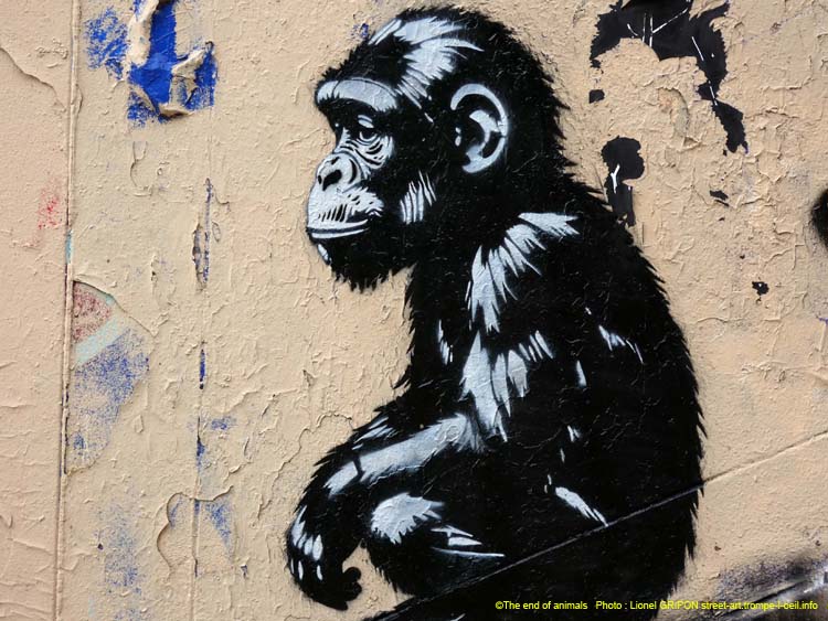 Fillette et chimpanzé-01