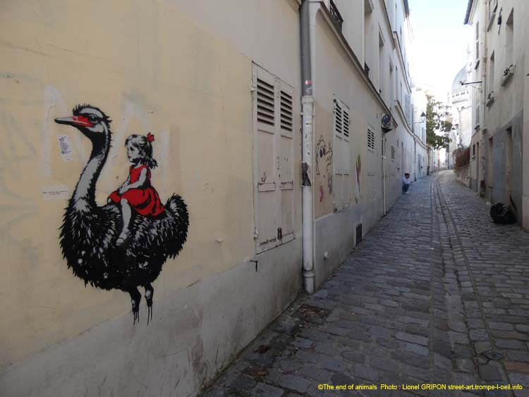 Fillette et autruche-03