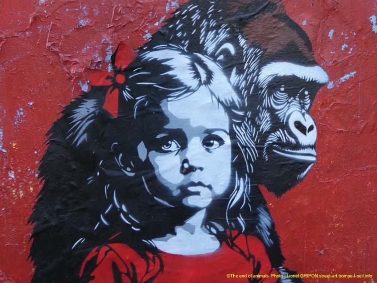 Fillette et chimpanzé-06