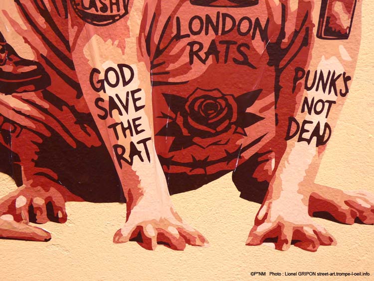 Rat Sphynx-01