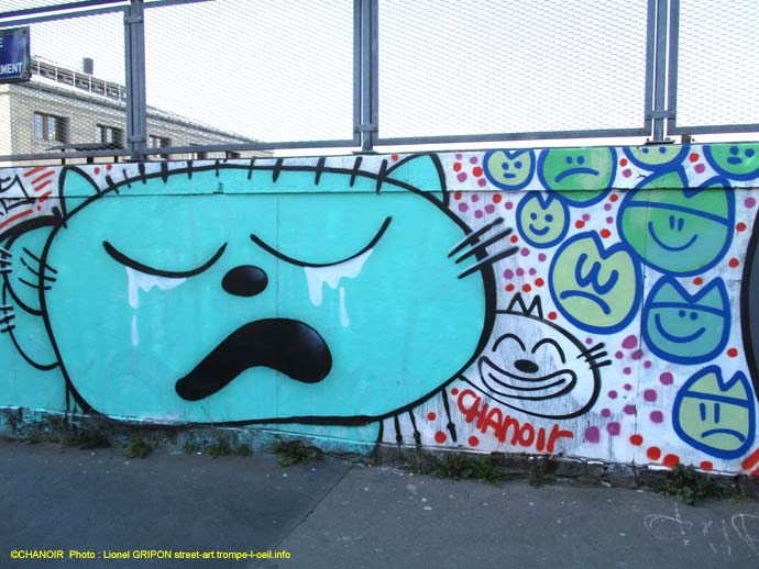 Chats folies