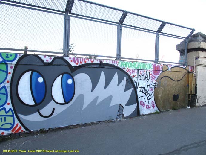 Chats folies