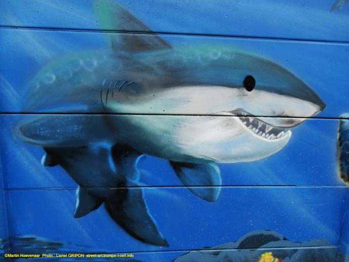 Fonds marins-2