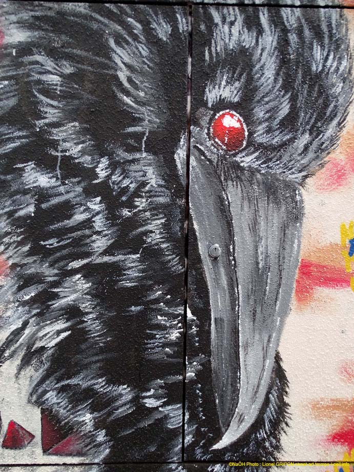 Le corbeau noir