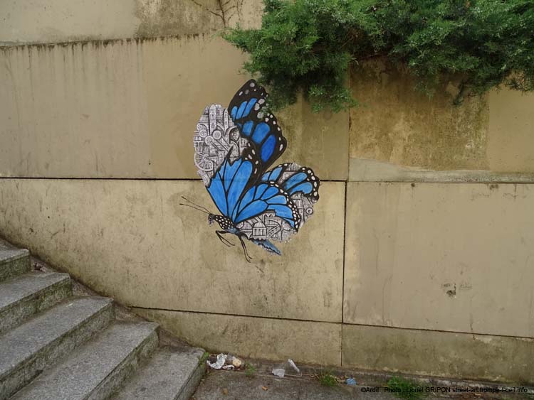 Papillon bleu