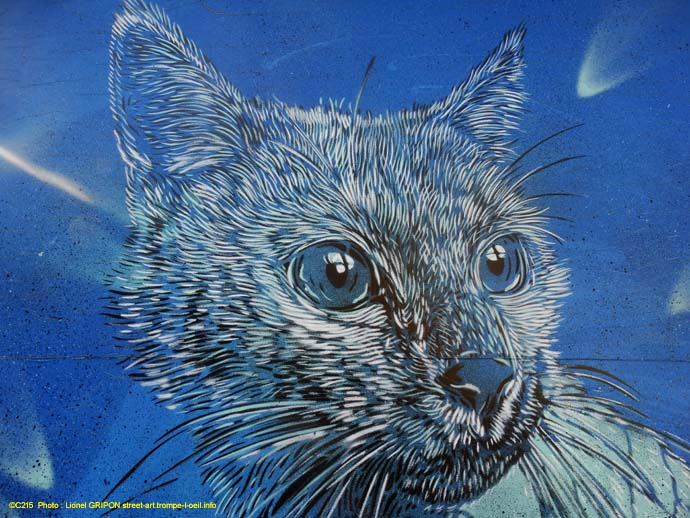 Le chat bleu-02