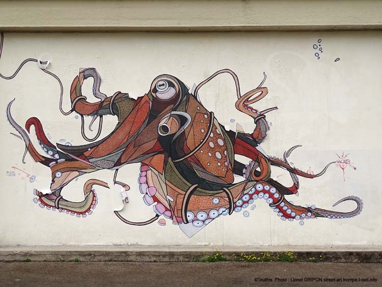 Octopus