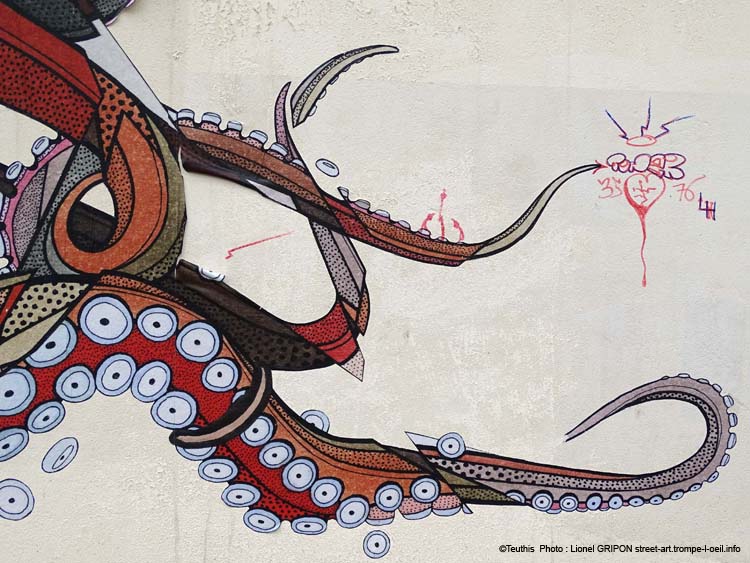 Octopus