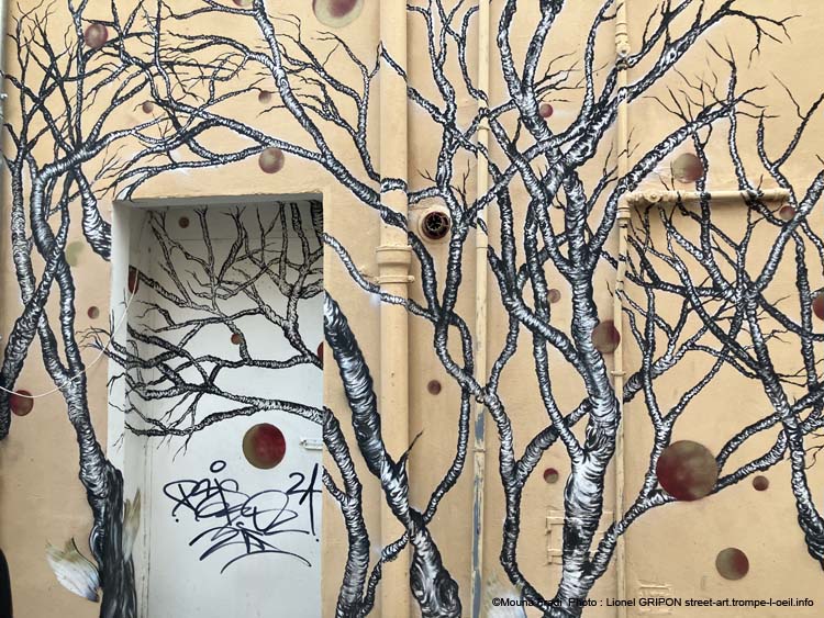 Arbres sans feuille