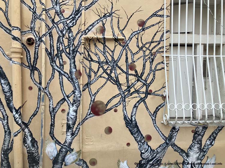 Arbres sans feuille