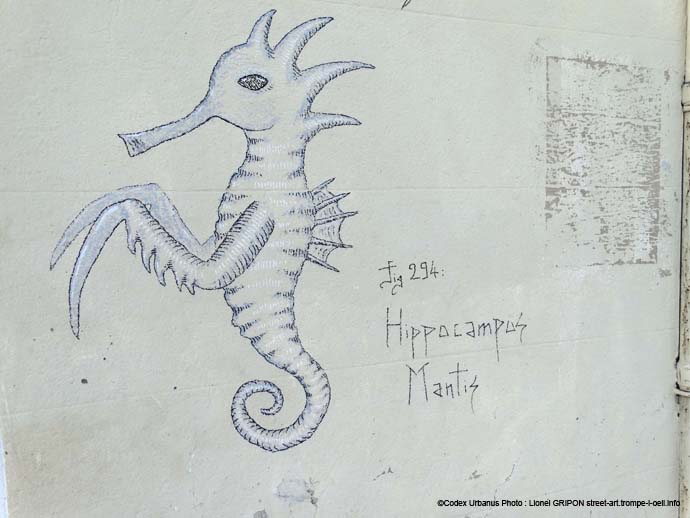 Hippocampus