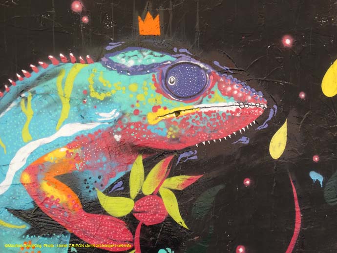 Caméléon Roi