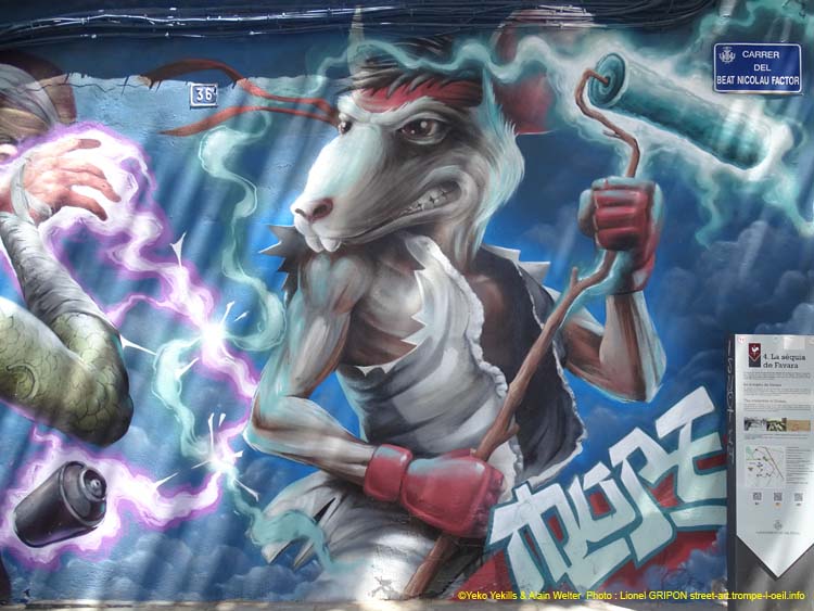 Combattants de rue