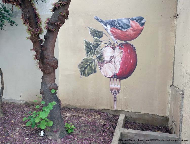 Pomme & Rouge-gorge