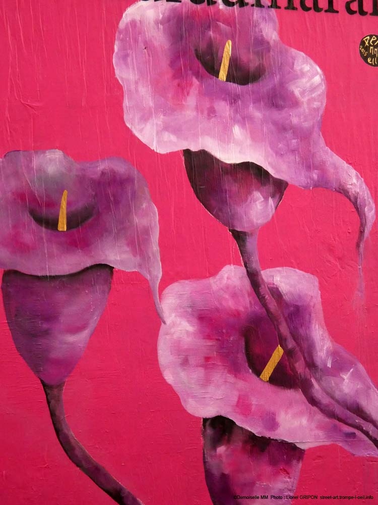 Mur du Marais-16 Demoiselle MM