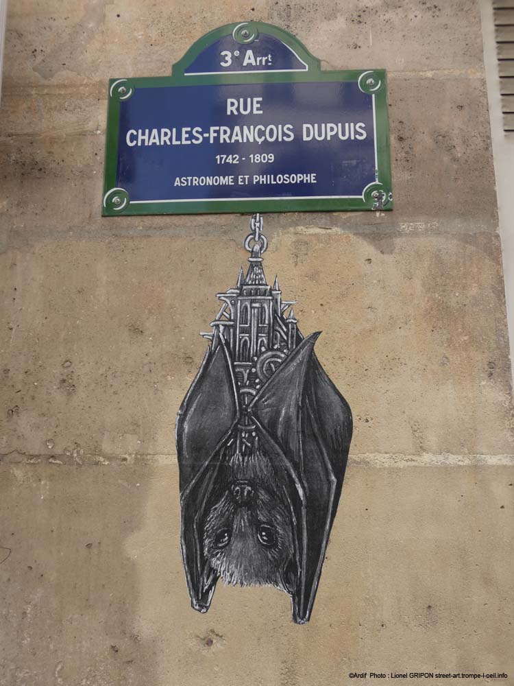 La chauve-souris
