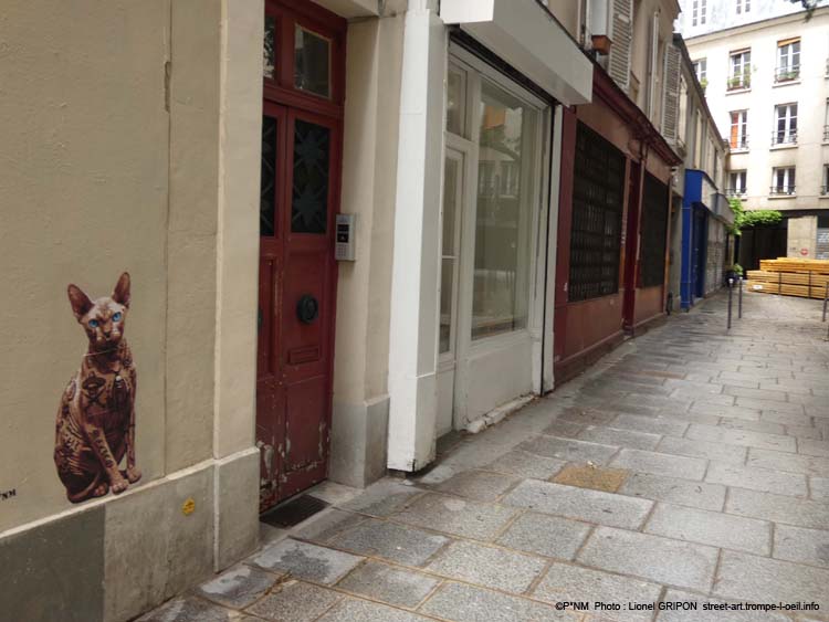 Le Chat Sphynx-03