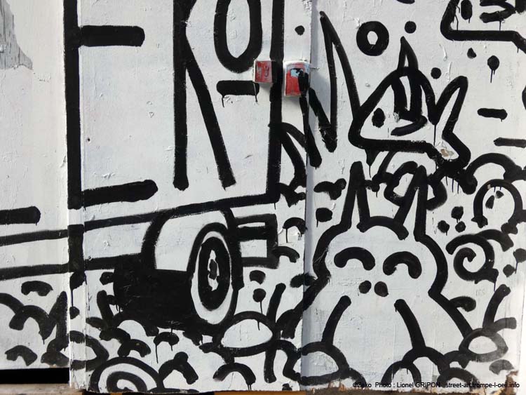Camion Zeko