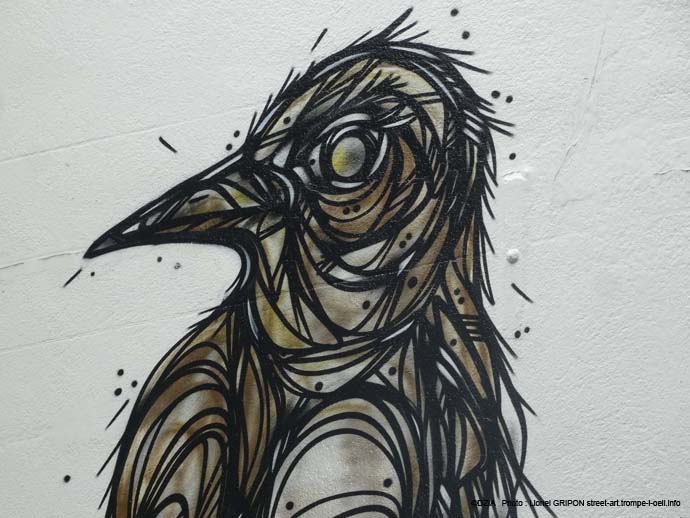 Oiseau sur le toit