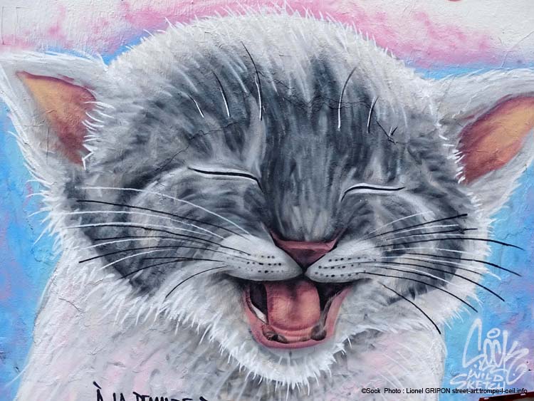 Chat mignon