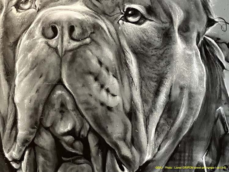 Bulldog