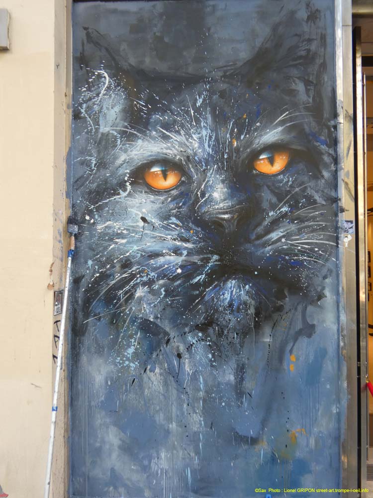 Chat noir-05