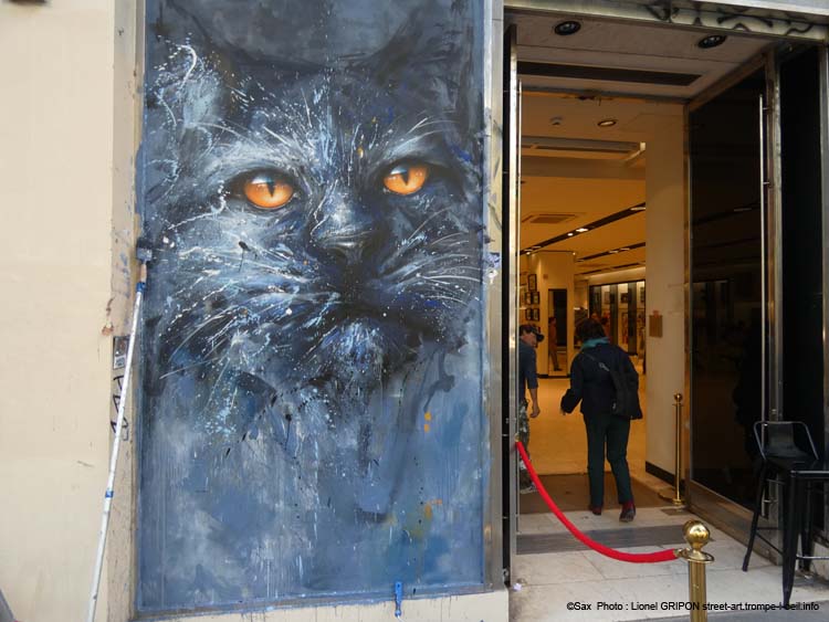 Chat noir-05