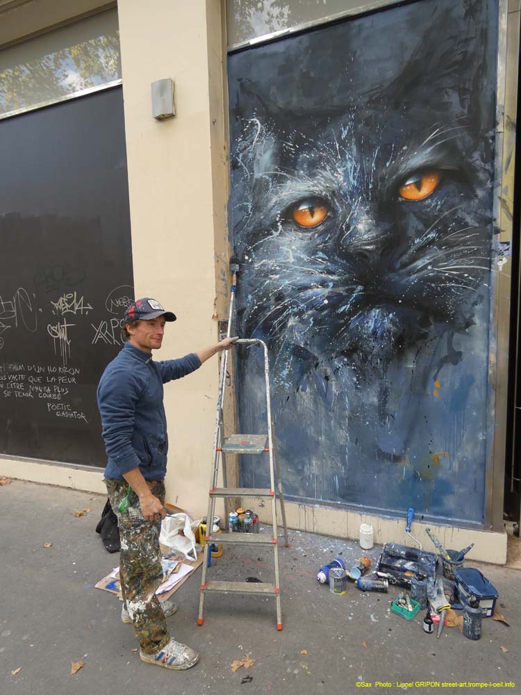 Chat noir-05