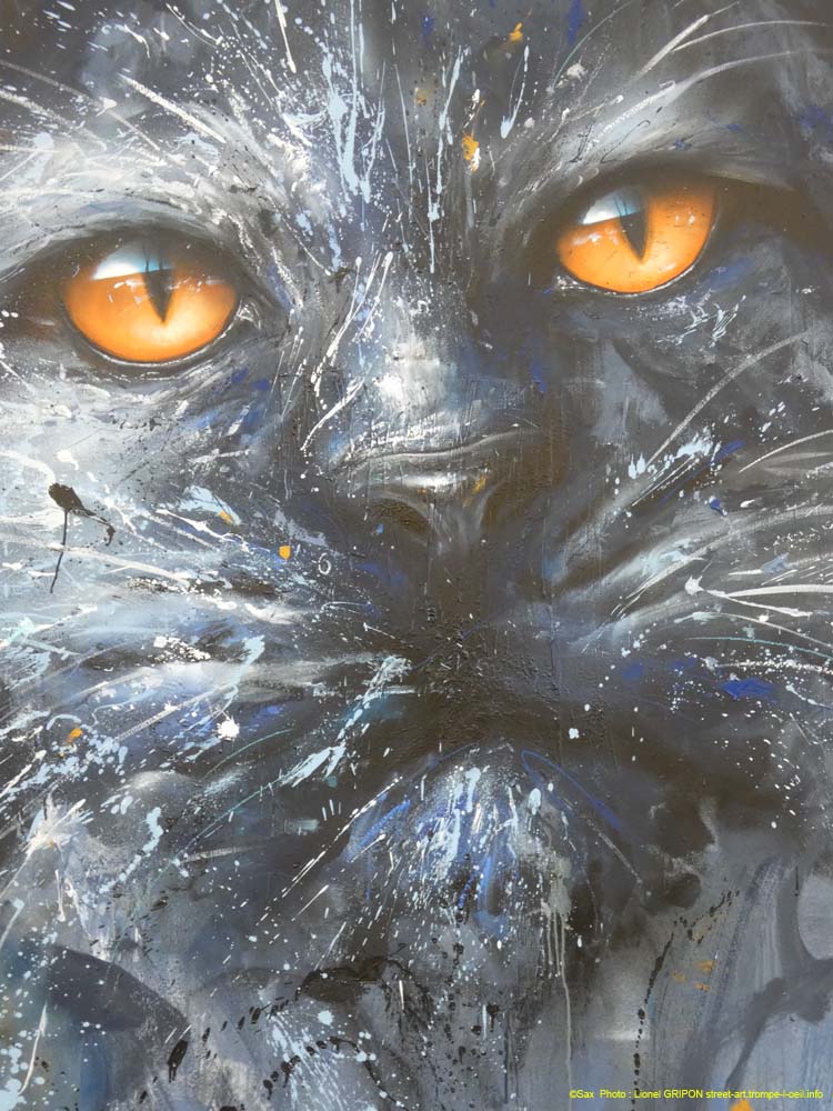 Chat noir-05