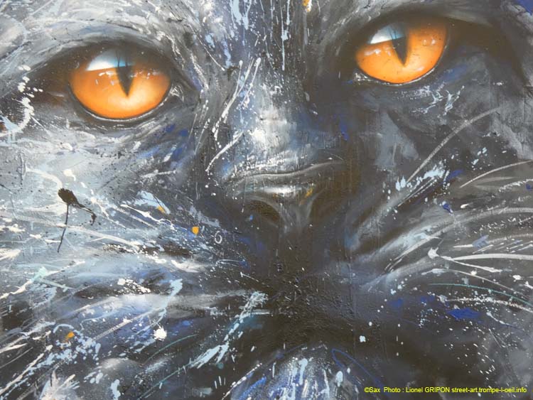 Chat noir-05
