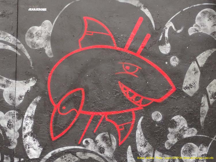 Sauvons les requins