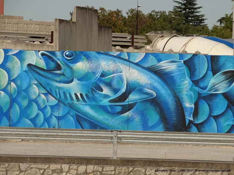 Biodiversité animale