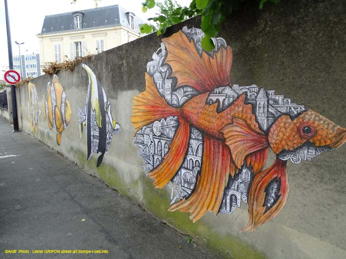 Ballet de poissons-3